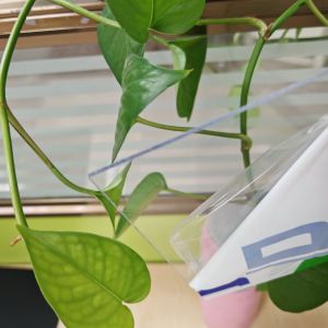 Plastic Polycarbonate Sheet Known for High Tensile Strength and Durability