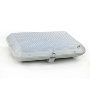 Waterproof Explosion proof IP66 LIGHTING with ATEX/IECEX C1D2 in Gas Station