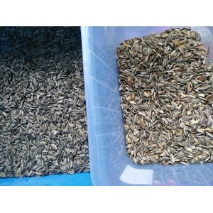 6 Chutes Sesame Color Sorter for Cleaning Separating Wifi Remote Control