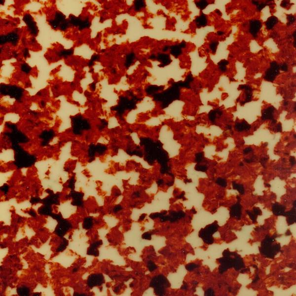 Quality Alkali Resistance High Strength Celluloid Plastic Sheet For Hair Clips wholesale