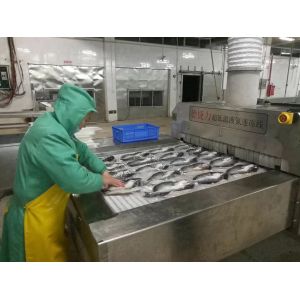 2000KG/H Mesh Belt Tunnel Freezer