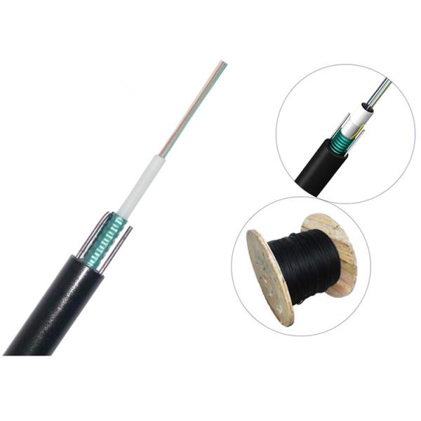 PE Material Fiber Optic Patch Cord G652D Singlemode 12 Core Unitube Light Armored