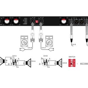 DSA-2450 Black CE 34KHz Digital Power Amplifiers