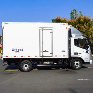 2 Axle 6 Wheels 4x2 Foton Cooling Van Freezer Truck Refrigerated Box Truck with