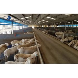 AiSi Standard Welding Dairy Cow Farm Shed House with Customized Processing