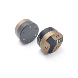 Micro-nano Integrated Fiber Optic Gyroscope with Wide Measuring Range