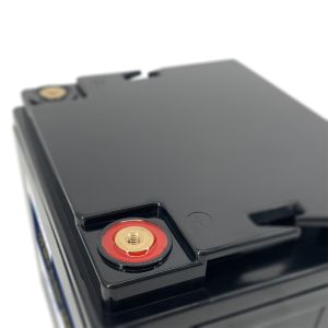 LiFePo4 Battery with and Smart BMS for Fishing Boat Starting or Energy Storage