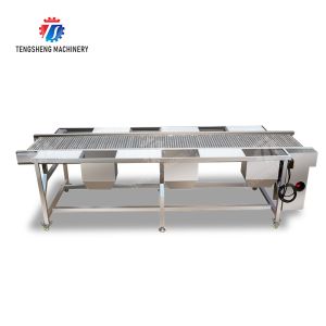 Potato Selection Table Ginger Carrot radish Celery kale lemon Saiko persimmon