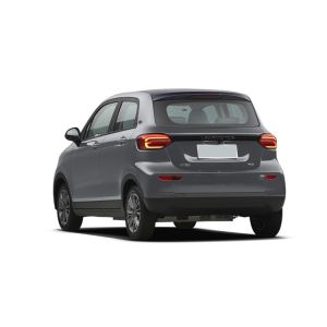 2023 Luxury Energy Electric Mini Car 4X2 2Wd Fwd Hatchback Smart Auto Electric