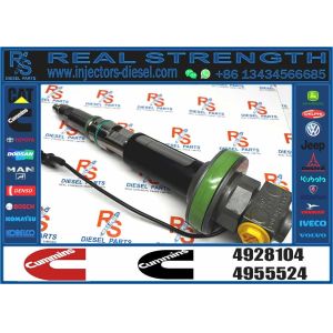 4964170 Diesel QSK19 Engine Common Rail Fuel Injector 4955524 2867149 4955527