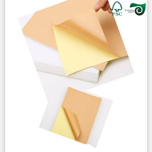 80gsm White Cardboard 70cm 100cm High Gloss Labels One Sided Chrome Coated Paper