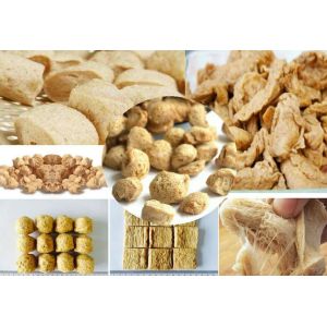 Swiss Technology Soya Chunks Extruder Machines