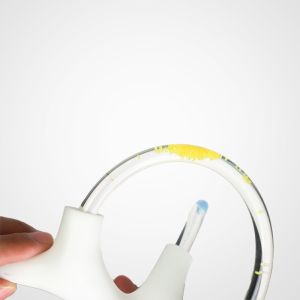 Vertigo Cochlea Inner Ear Cranial Nerve Rehabilitation Anatomical Function