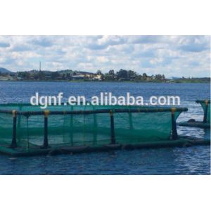 HDPE Circular Fish Cage with 50-Year UV Resistance and -60°C/+80°C Temperature
