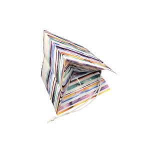 Elegant Foldable Printed Promotional Paper Bags Customized Logo Printing