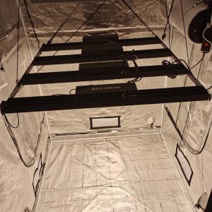 CETL Waterproof 6x6 Bavagreen Hydroponics SAMSUNG LM301H Grow Light