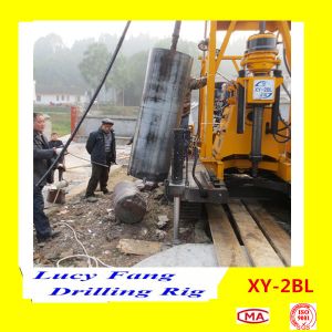 China Hot Sale XY-2BL Crawler Mounted Micropile Hole Drilling Rig With Mud Pump