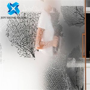 Anti Reflection Clear Frosted Tempered Glass Panels 3mm to 19mm