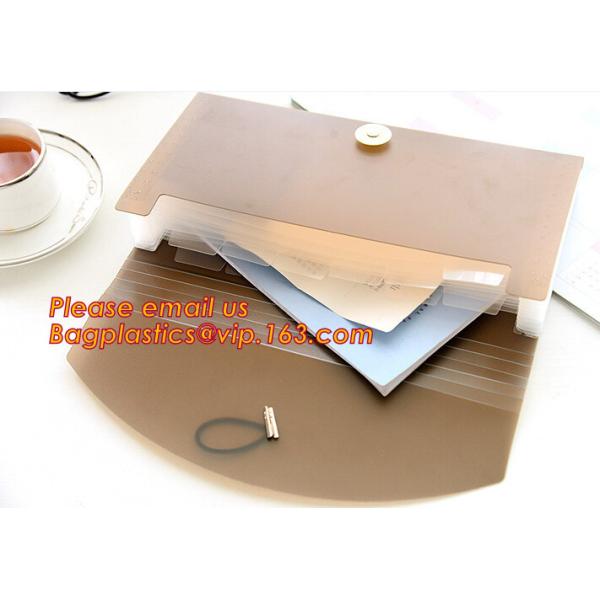 Quality new popular a4/letter size plastic pp poly Expandable Desk top file folder organizer wholesale
