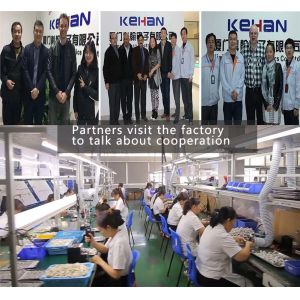 Yeonho Customized Wiring Harness for Irrigation Equipment and Food Packaging