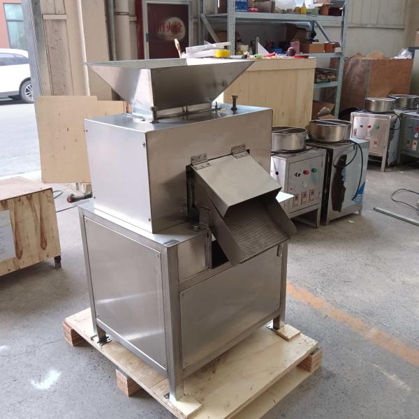 New Choice For Healthy Life Efficient Roller Juicer Multifunctional And Easy To