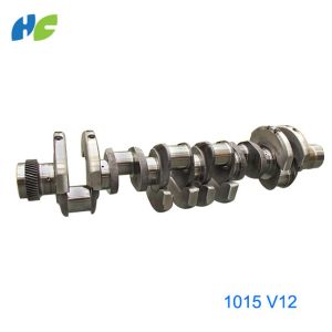 Cheap OEM Manufacture Engine Parts 1015 V12 unique crankshaft with good performance for sale