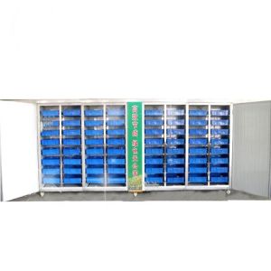 Seeds Germinate Hydroponic Fodder Machine Breeding Room Automated Fodder System