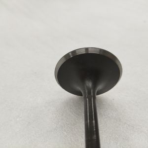 DAYANG Three Wheel Motorcycle Tricycle Black Iron Engine Forging Valve with