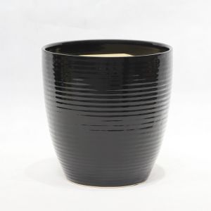 Stunning Plant Display With Our Ceramic Pots Various Sizes Available Ceramic