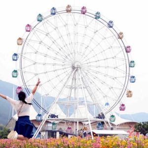 Large Scale Fairground Ferris Wheel / Theme Park Ferris Wheel Height 42m