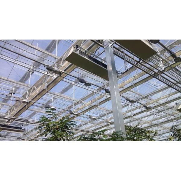 Quality Mushroom Equipment Greenhouse For Vegetable Agriculture With Steel Frame wholesale