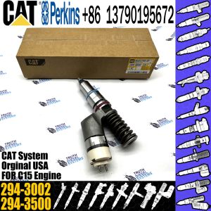 Engine Common Rail Fuel Injector 249-0712 249-0713 250-1309 294-3002