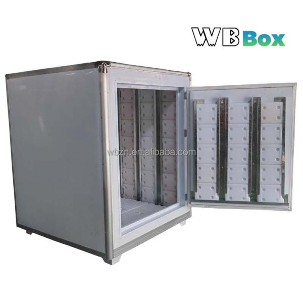 Hight Quality Freeze Box / Insulation case Can air Transportation From China