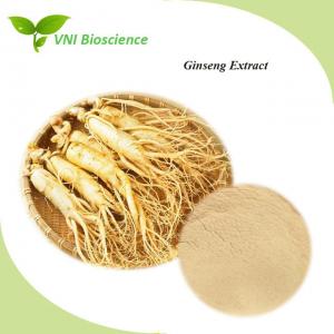 Cheap Halal Certified Ginseng Extract 0.8% Ginsenosides Enhancing immunity for sale