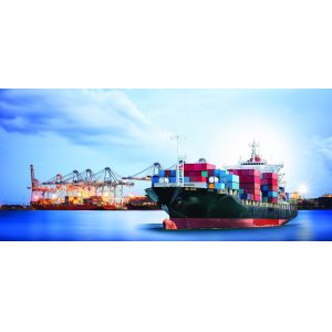 China China To Sydney DDP Sea Freight on sale