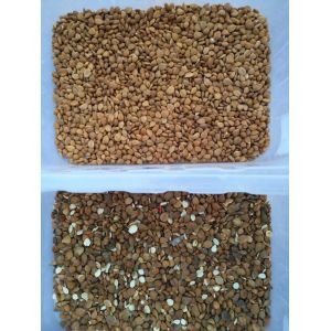 Wenyao High Sorting Speed Good Price Intelligent Cashew Nuts Almond Color