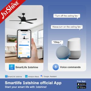 5 ABS Blades LED Ceiling Fan with Light Remote Control and Wall Control