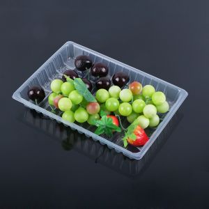 Hengmaster White Rectangle plastic tray transparent Ecofriendly