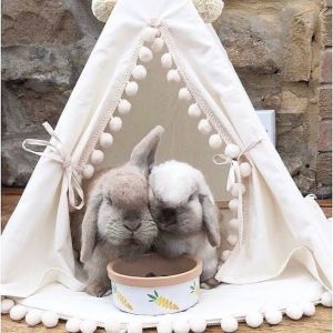 Natural Cotton Rabbit Bunny House Diy Bunny Teepee With Pom Pom Pad