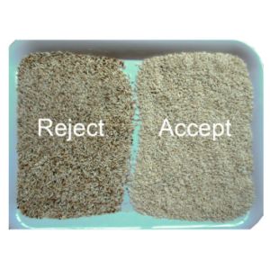 2022 Hot Product Rice Color Sorter Rice Color Sorting Machine From China Wenyao