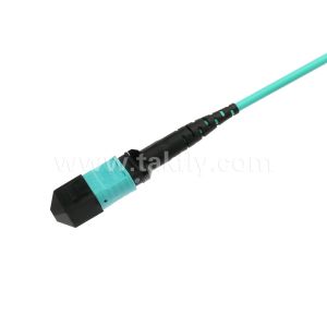 Elite Multimode OM3 50/125 Plenum OFNP Type B MPO Patch Cord 30m 100ft MTP-12 PC