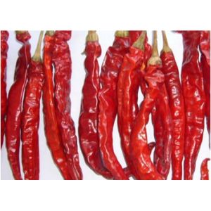 Stemless Erjingtiao Dried Chilis Sterilized Whole Chillies Pungent