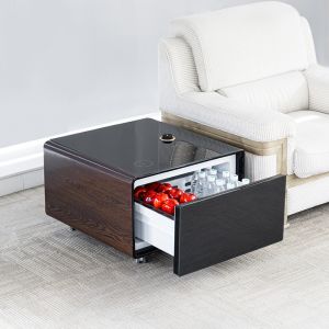PRIMST 2024 Mini Refrigerator Coffee Table The Ultimate Smart Furniture for Your