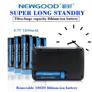 SD card plug in NEWGOOD digital radio music player speaker