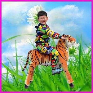 Cheap Magic Prince Amusement Animal to Ride for sale