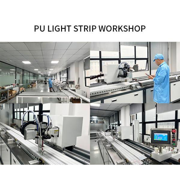 16 * 16mm IP68 Waterproof LED Neon Flex Strip Light Swimming Pool LED Neon Flex Outdoor