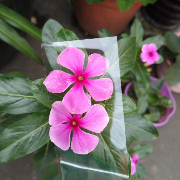 Quality Clear 1mm Polycarbonate Fabrication Pc Board For Optical Or Printing Single Layer 1mm wholesale