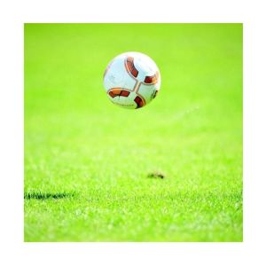 Artificial Synthetic Lawn Turf Grass Gardens Artificial Football Grass