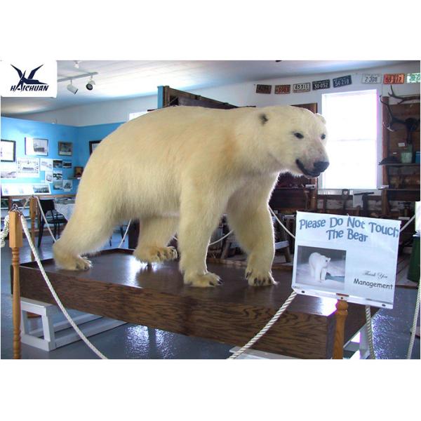 Quality Realistic Animatronics Animals Models Lifelike Polar Bear Statues For Decoration wholesale