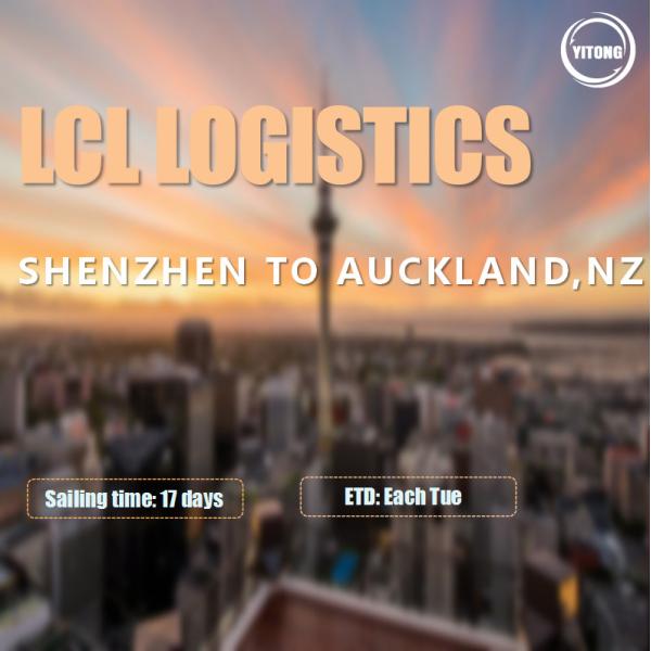 Shenzhen To Auckland New Zealand LCL International Shipping With Warehousing